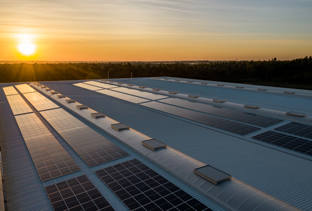 Zonnepanelen op een dak in de avondzon